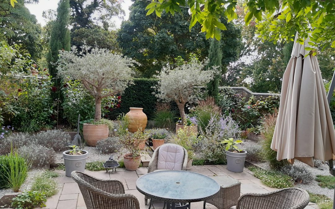 Cambridge Town Garden
