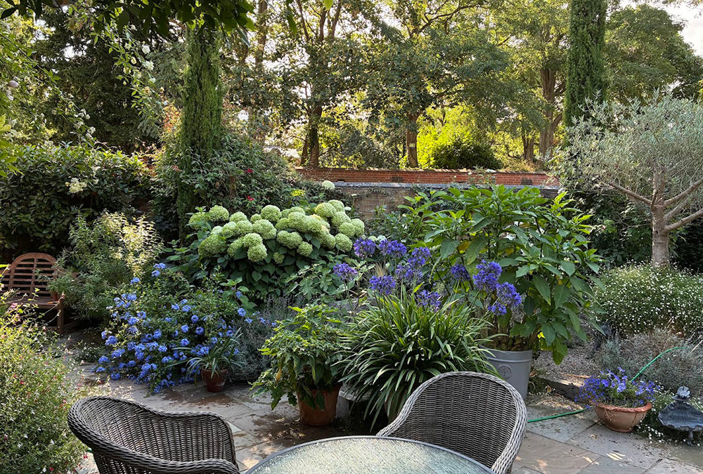 Contemporary Garden