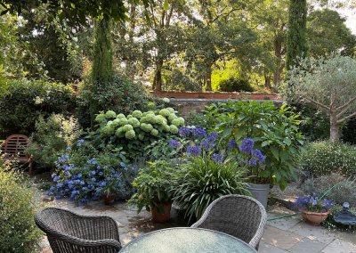 Contemporary Garden
